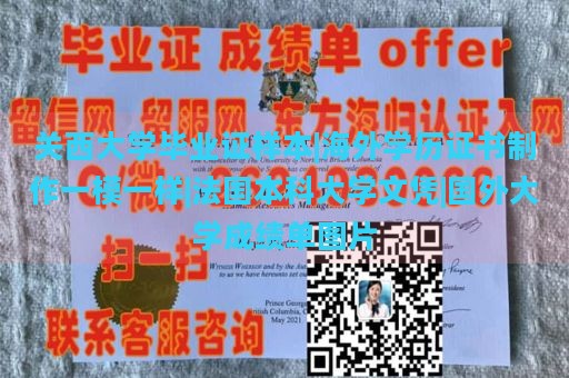 关西大学毕业证样本|海外学历证书制作一模一样|法国本科大学文凭|国外大学成绩单图片