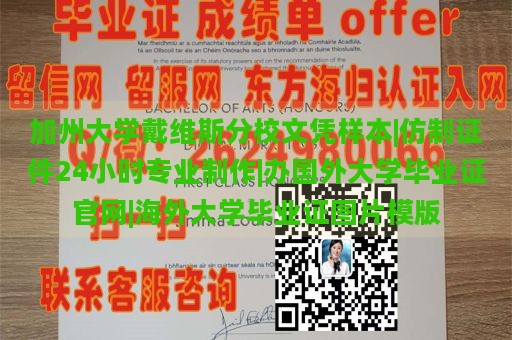 加州大学戴维斯分校文凭样本|仿制证件24小时专业制作|办国外大学毕业证官网|海外大学毕业证图片模版