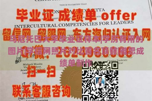 马尼托巴大学毕业证样本|学历有用的图片|学信网照片对比冒名顶替|雅思成绩单制作