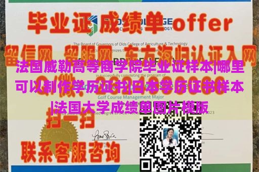 法国威勒高等商学院毕业证样本|哪里可以制作学历证书|日本学历证书样本|法国大学成绩单图片模版