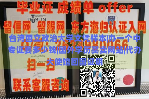 台湾国立政治大学文凭样本|办一个中专证要多少钱|国外学历买卖网站|代办大使馆回国证明