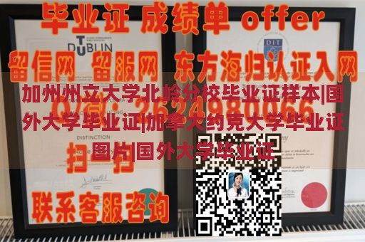 加州州立大学北岭分校毕业证样本|国外大学毕业证|加拿大约克大学毕业证图片|国外大学毕业证