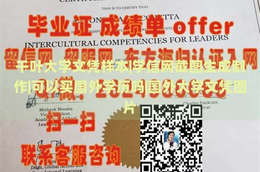 千叶大学文凭样本|学信网截图生成制作|可以买国外学历吗|国外大学文凭图片